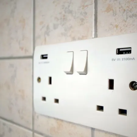 Violet Dusk Center Flat *